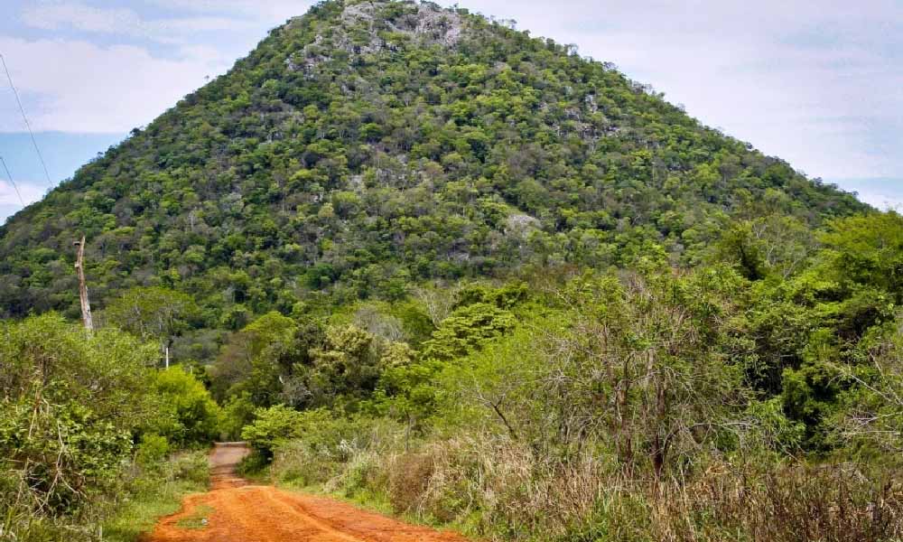 Policía reporta hallazgo de restos humanos en el Cerro Acahay