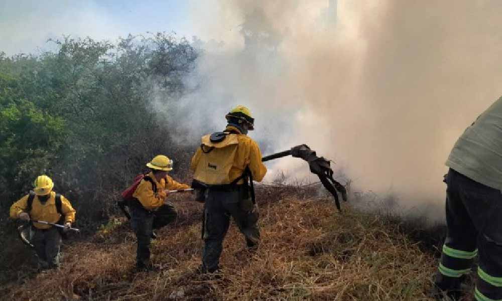 Infona registra más de 600 focos de calor y 60 fuegos activos en lo que va del año