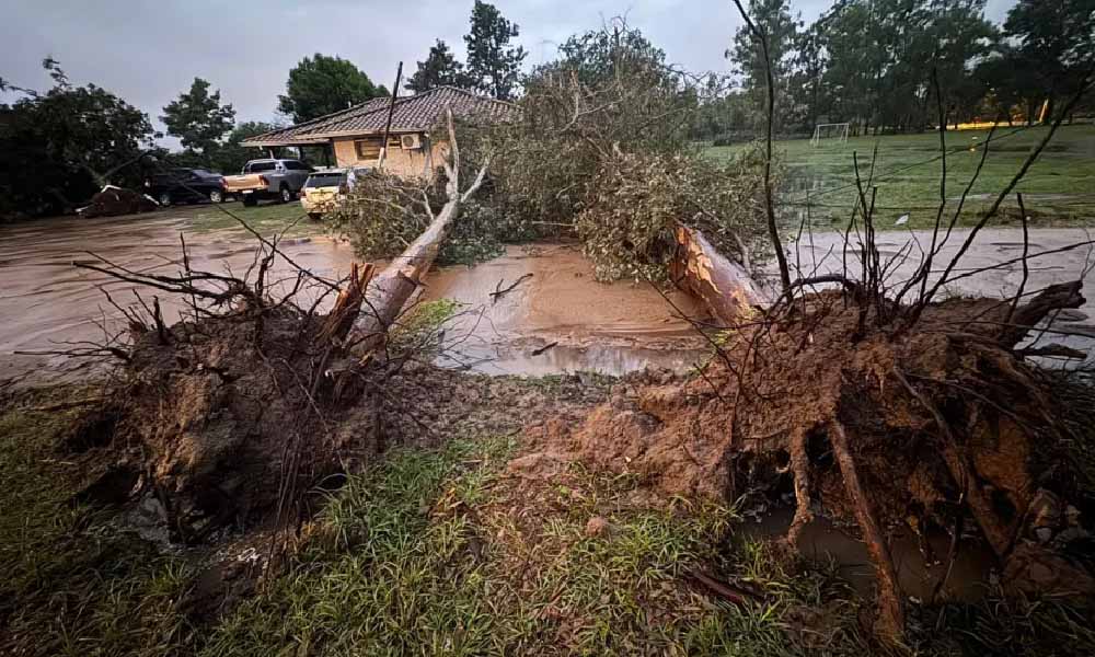 Tormentas y vientos de hasta 100 km/h dejan viviendas destechadas y árboles caídos en Ñeembucú