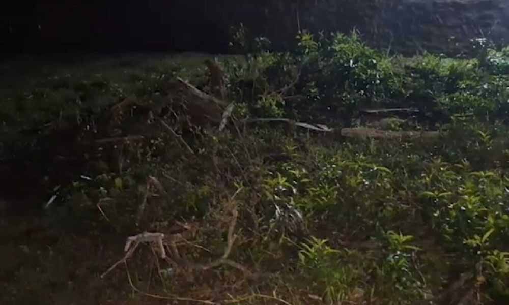 Feminicidio de Fernanda: Adolescente habría escondido su cuerpo por dos días bajo la cama