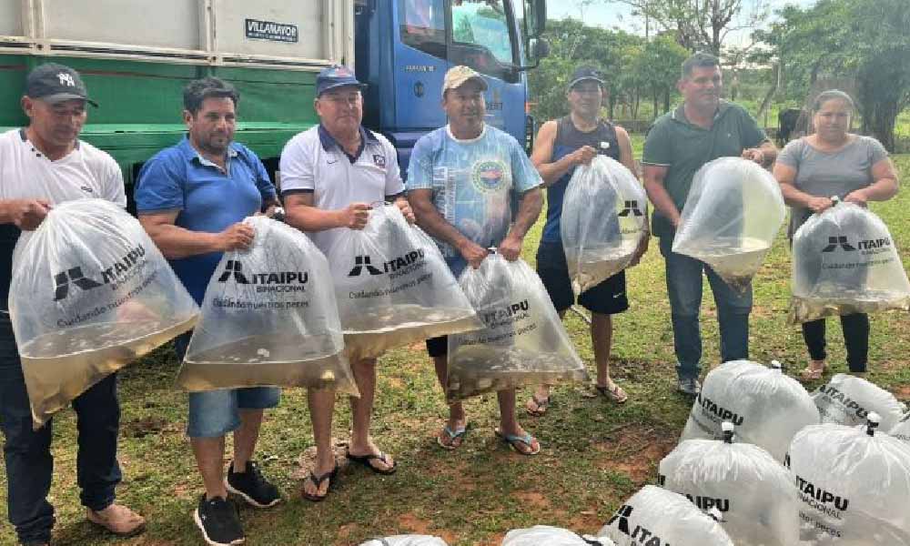 Producción piscícola es rubro alternativo en colonias de Caaguazú, Caazapá, Cordillera y Amambay