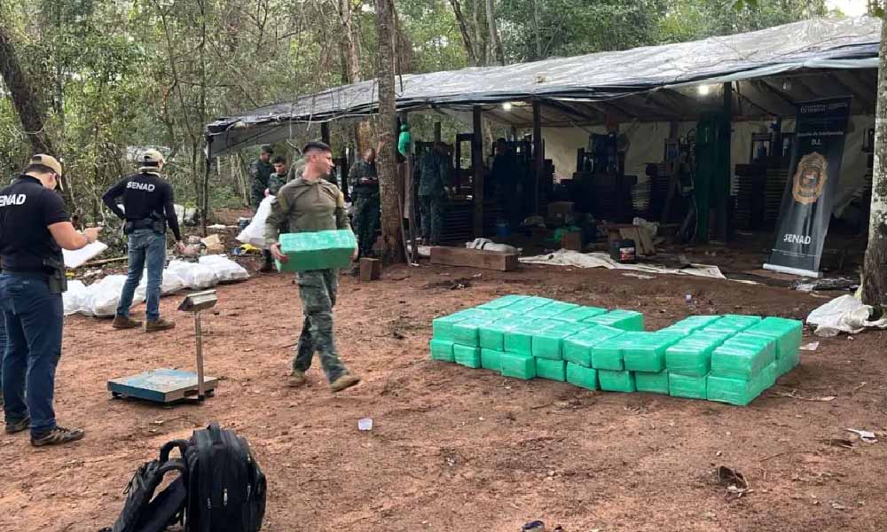 Senad desmantela megaestructura de producción de marihuana en Villa Ygatimí