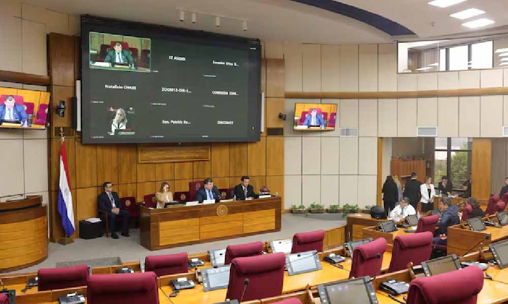 Senado aprueba proyecto que incluye inglés en la malla curricular desde el preescolar