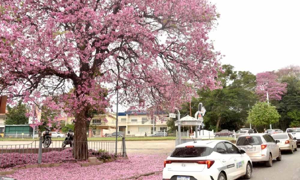 Ambiente frío a fresco, con alta humedad y vientos del sur para este viernes