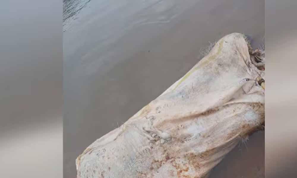 Hallan bolsa de arpillera con al menos un cadáver