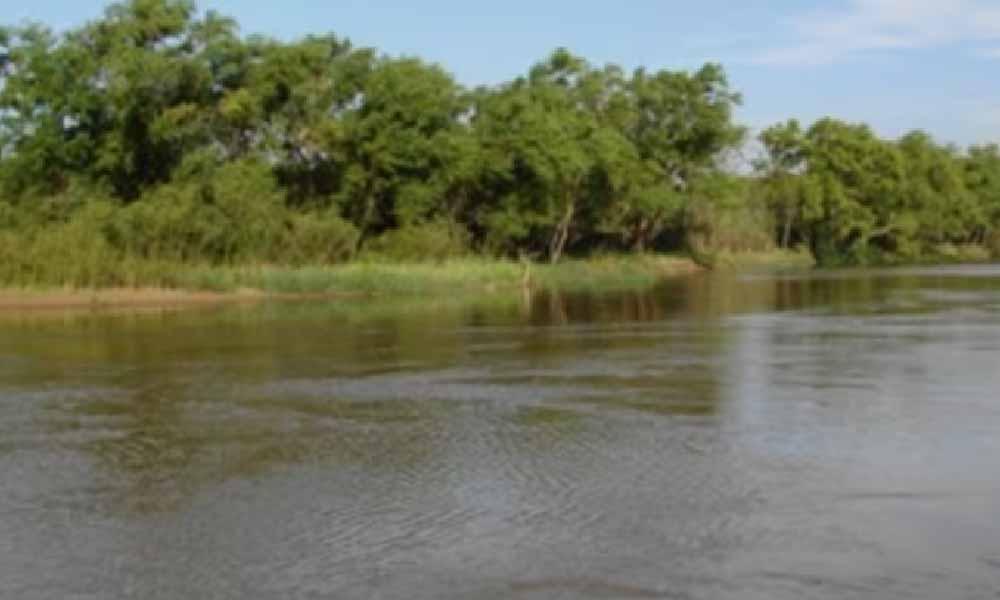 Hallaron otro cadáver en el Paraná: víctima es un brasileño que fue ejecutado a tiros