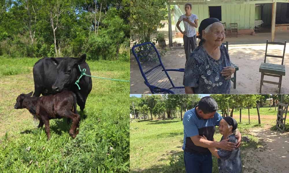Anciana de 94 años que perdió hasta su última vaca por abigeato recupera la esperanza con gesto anónimo