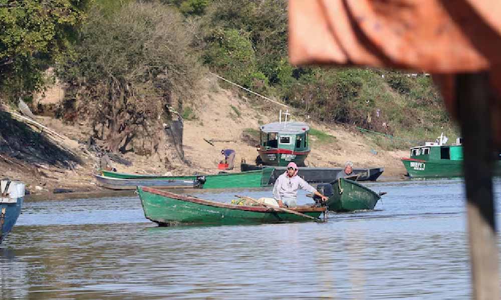 Periodo de veda pesquera inicia el 2 de noviembre con fuertes controles