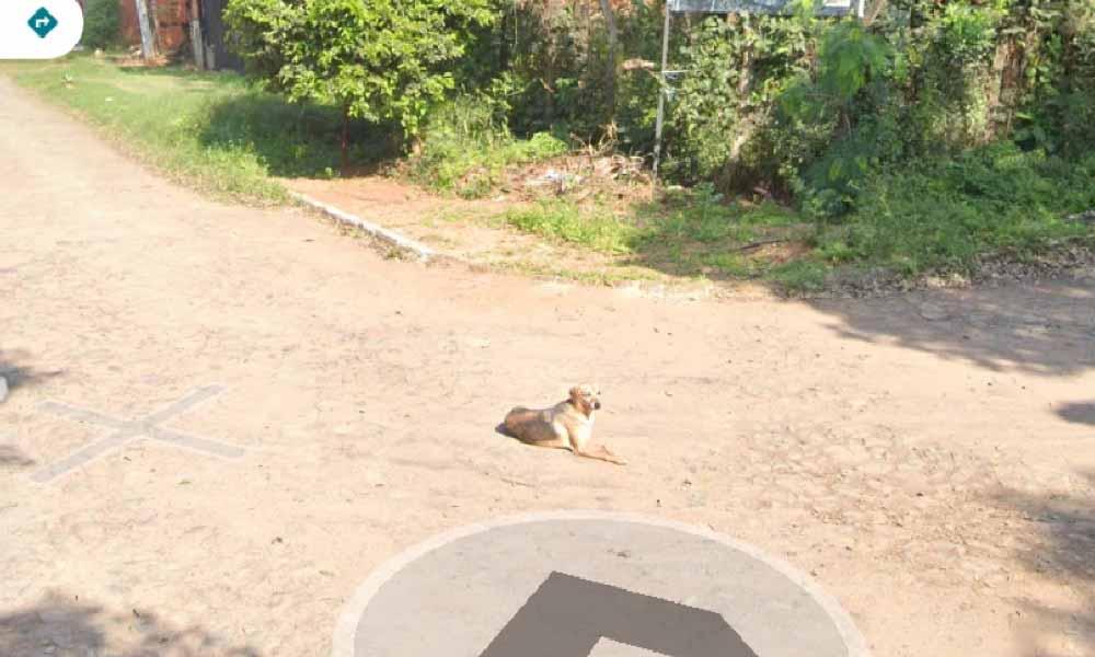 Los hallazgos más curiosos en Google Street View desde su llegada a Paraguay