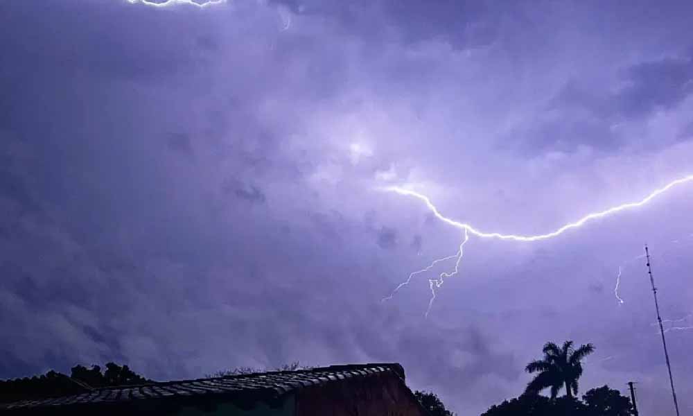 Fuerte descarga de un rayo mata a siete ganados vacunos en Carapeguá