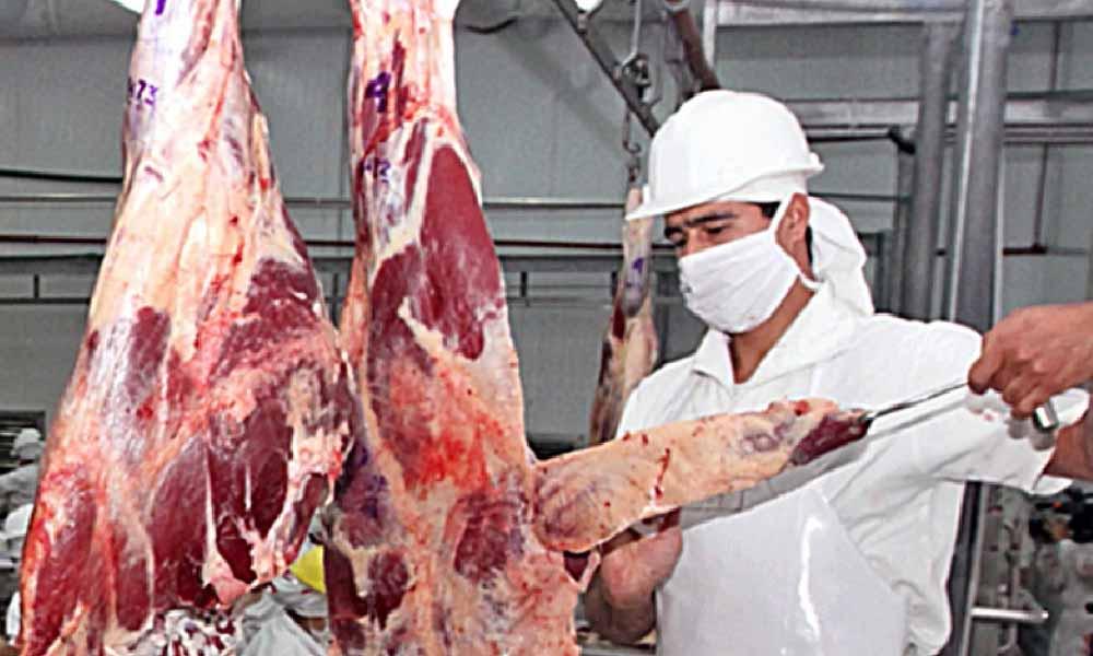 MAG busca fortalecer mataderos ante aumento del precio de carne bovina