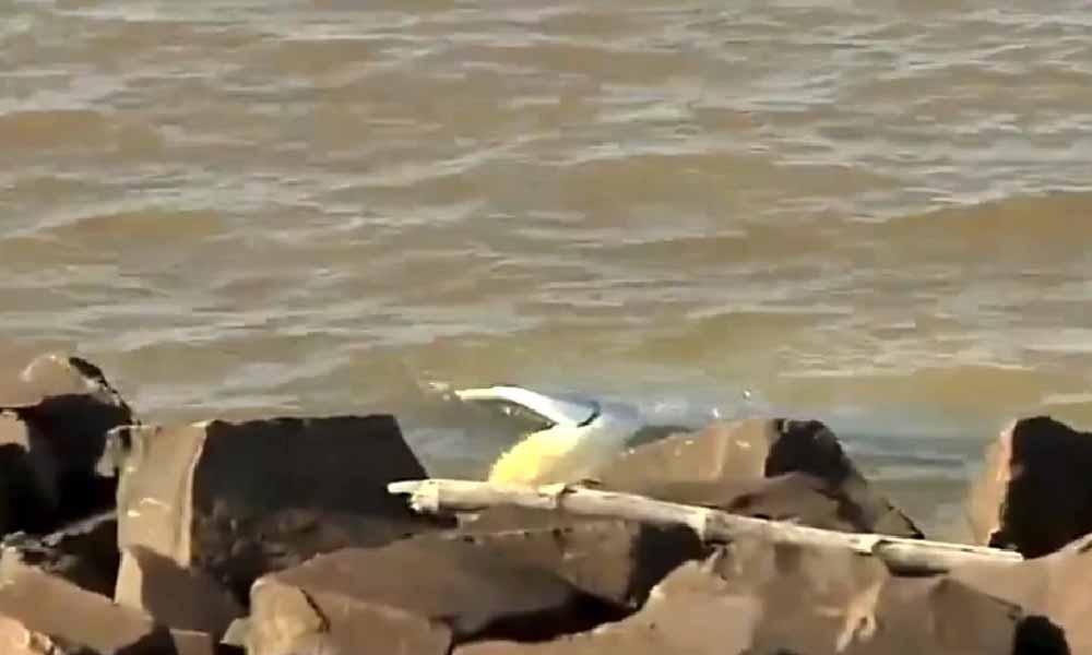 Conductor pierde el control de su camioneta y termina en aguas del río Paraná en Encarnación